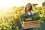 LES AIDES A L’INSTALLATION DES JEUNES AGRICULTEURS